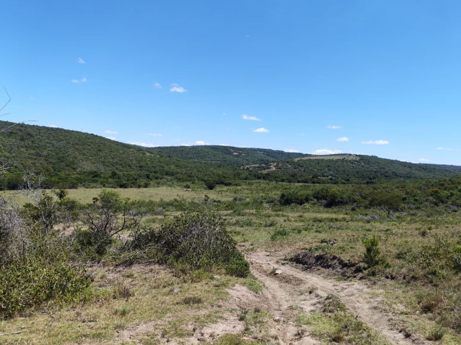 Commercial Property for Sale in Komga Rural Eastern Cape